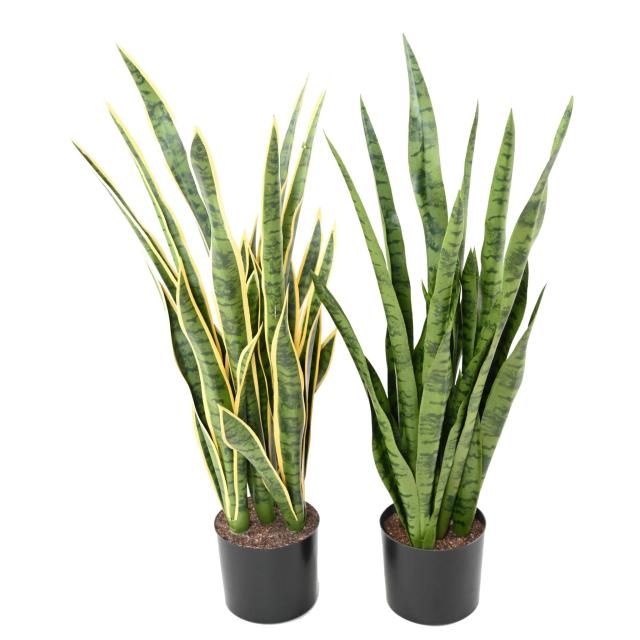 Sansevieria Artificielle Grandes Tailles - Sansevieria Artificiel 85
