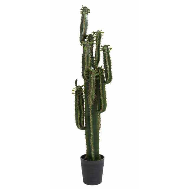 Cactus Finger Artificiel Mini Feuilles - Cactus Artificiel Finger