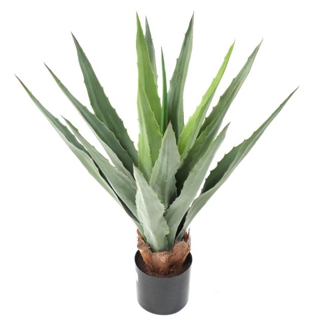 Furcraea 80 Artificiel