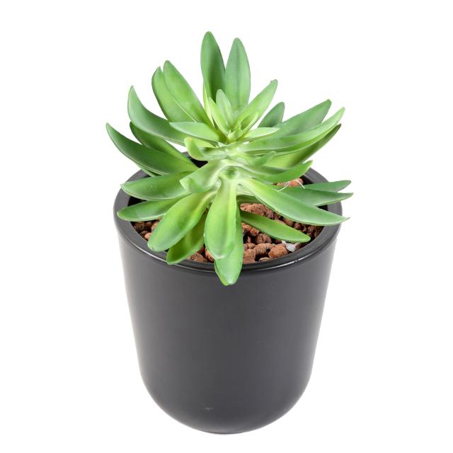 Succulente Artificielle Piquet Mini - Succulente Artificielle 16