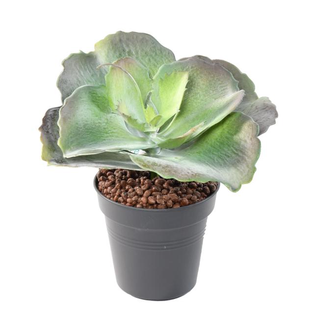 Succulente Ronde Artificielle - Succulente Artificielle Ronde 24