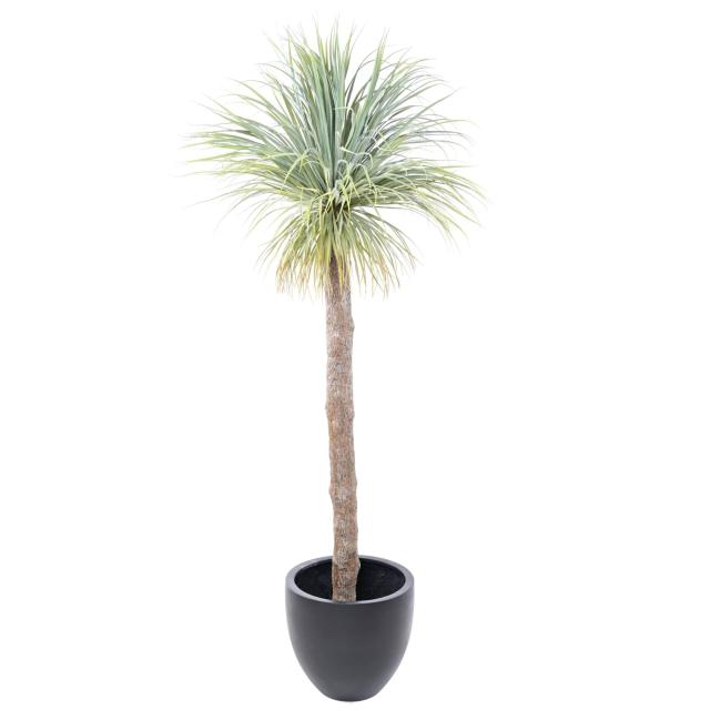 Agave Artificielle Geant - Agave Artificielle Geant 240