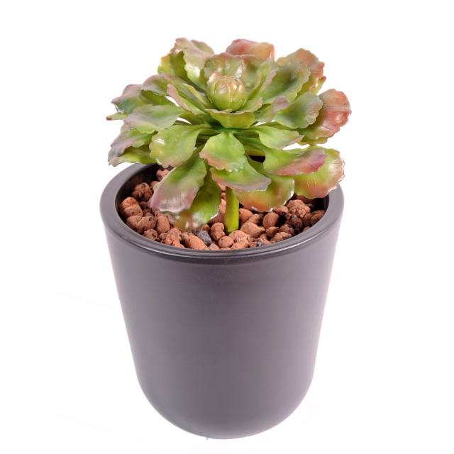 Succulente Artificielle 15cm - Succulente Artificielle 15