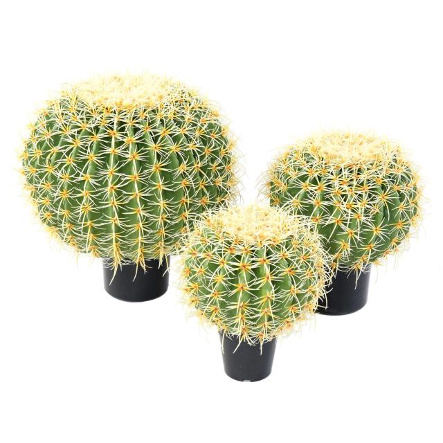 Cactus Ball Artificiel - Cactus Artificiel Ball