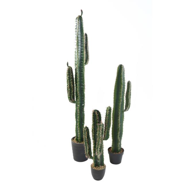 Cactus Cereus Artificiel - Cactus Artificiel Cereus