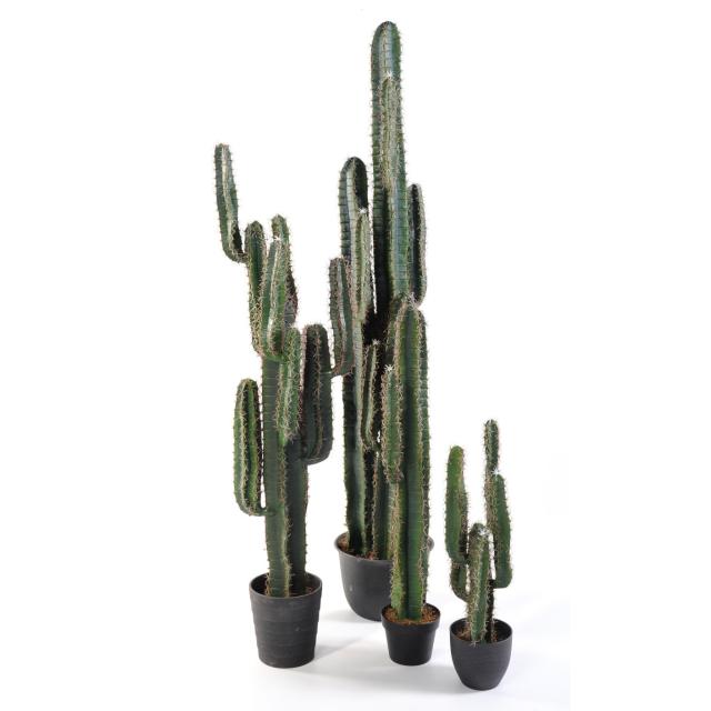 Cactus Finger Artificiel - Cactus Artificiel Finger