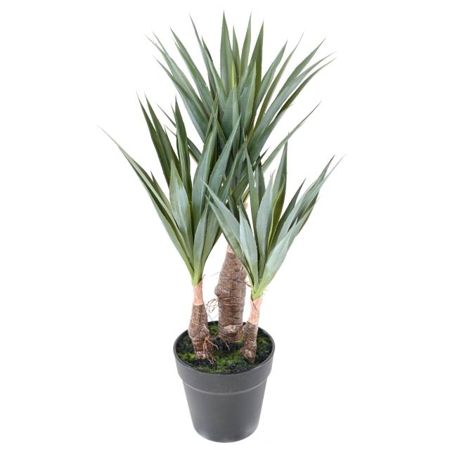 Agave Sisal Artificielle - Agave Artificielle Sisal 55