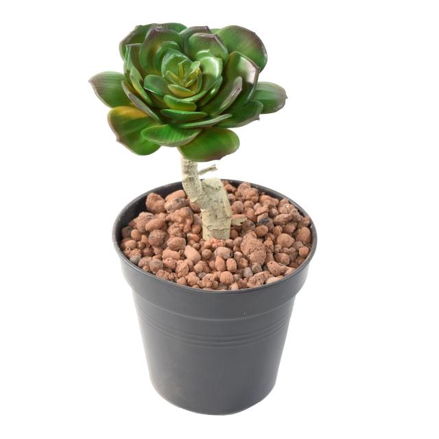 Succulente Artificielle Ronde Tronc - Succulente Artificiel Ronde 15