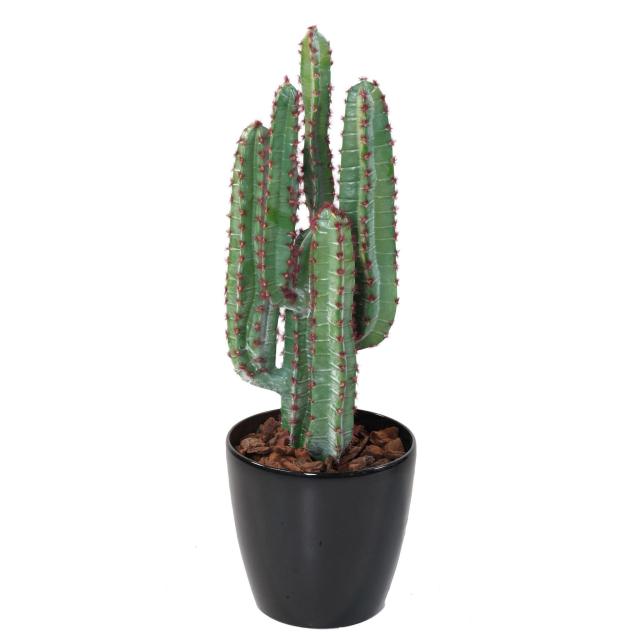 Cactus Artificiel Désert - Cactus Artificiel 77