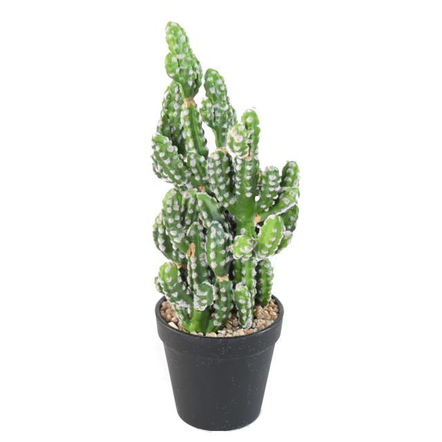 Cactus Artificiel Mini - Cactus Artificiel 35