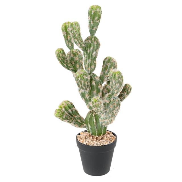 Cactus Echinocereus Artificiel - Cactus Artificiel Echinocereus