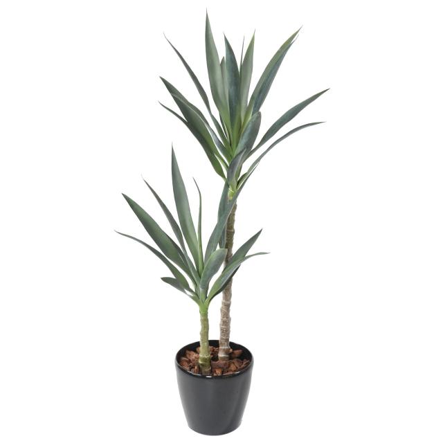 Yucca Rapier - Yucca Artificiel Rapier