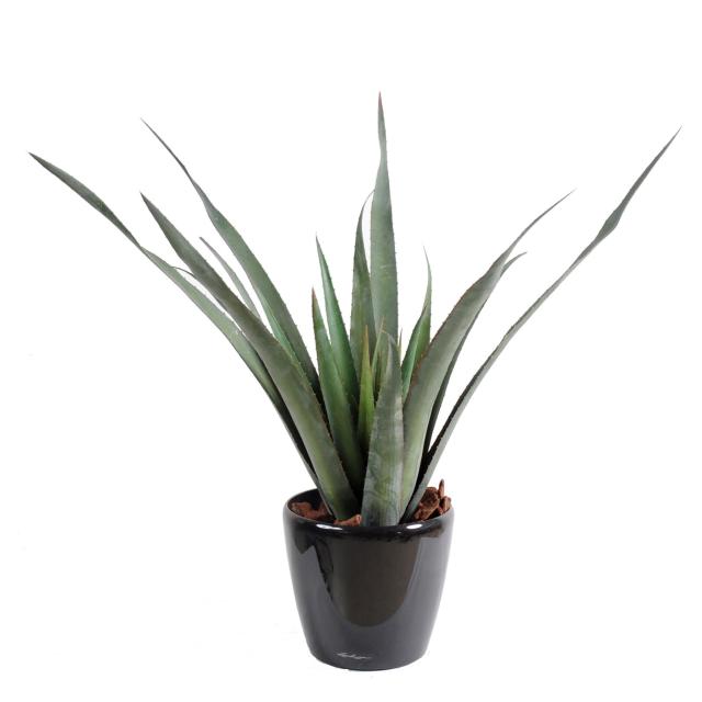 Aloe Vera Ferox Artificiel - Aloe Artificielle Ferox Plastique