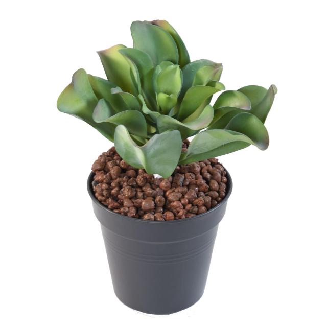 Succulente Artificielle 20cm - Succulente Artificielle 20