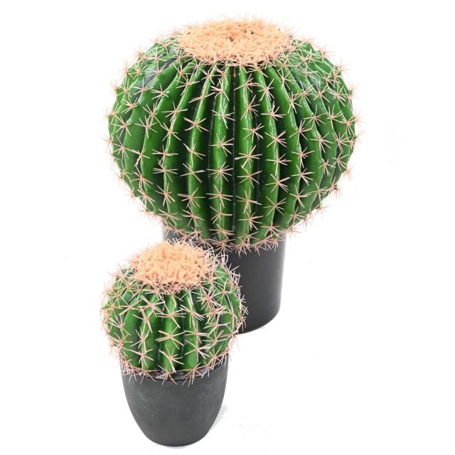 Cactus Echino Artificiel - Cactus Artificiel Echino
