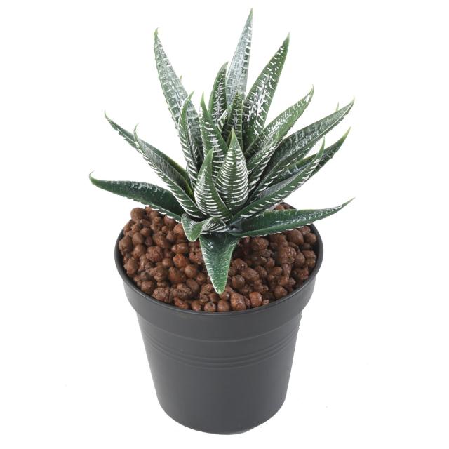 Aloe Vera Artificiel Panaché Piquet - Aloe Artificielle