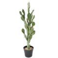 Cactus Artificiel