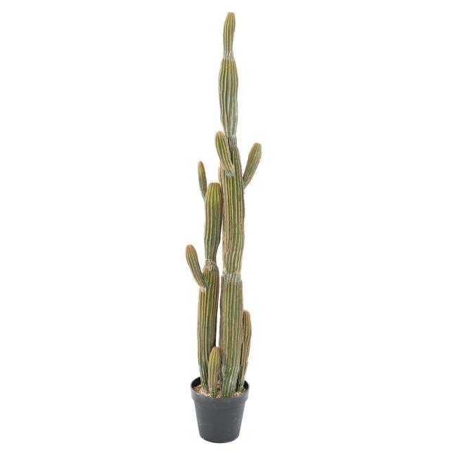 Cactus Artificiel Finger X
