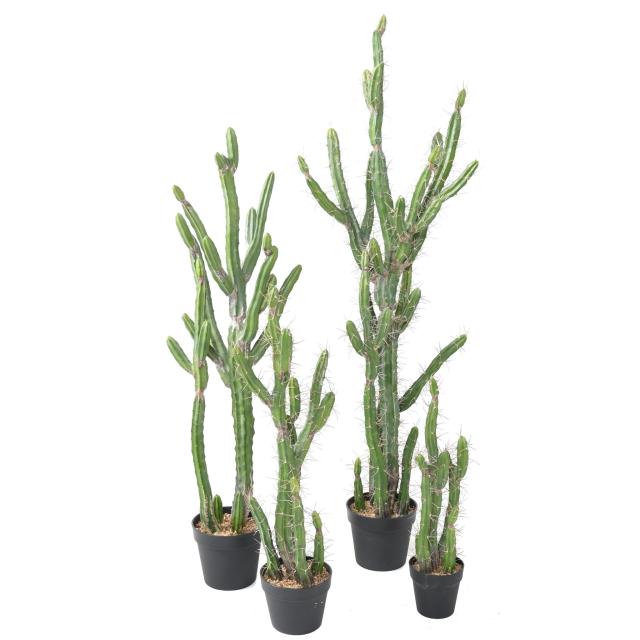 Cactus Finger Fin Artificiel - Cactus Artificiel Finger F
