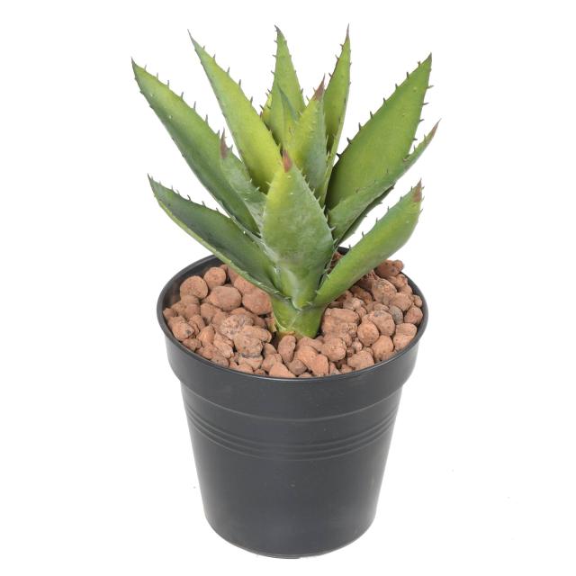 Aloe Vera Artificiel Mini Piquet - Aloevera Artificielle 12