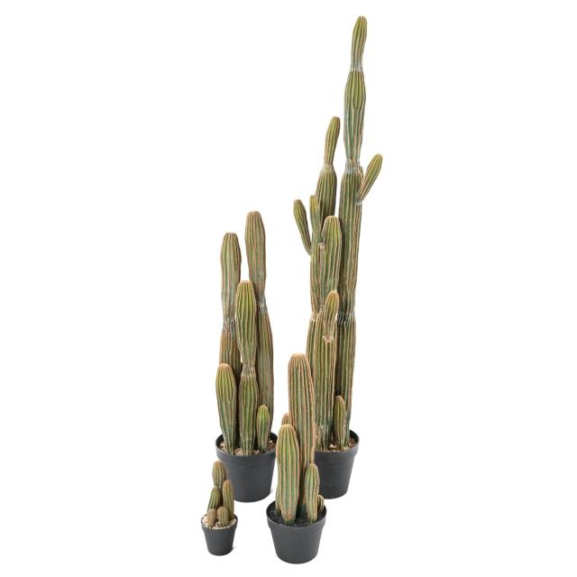 Cactus Finger X Artificiel - Cactus Artificiel Finger X