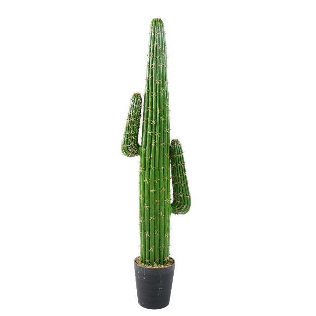 Cactus Mexico Cartoon Artificiel - Cactus Artificiel Mexico NEW