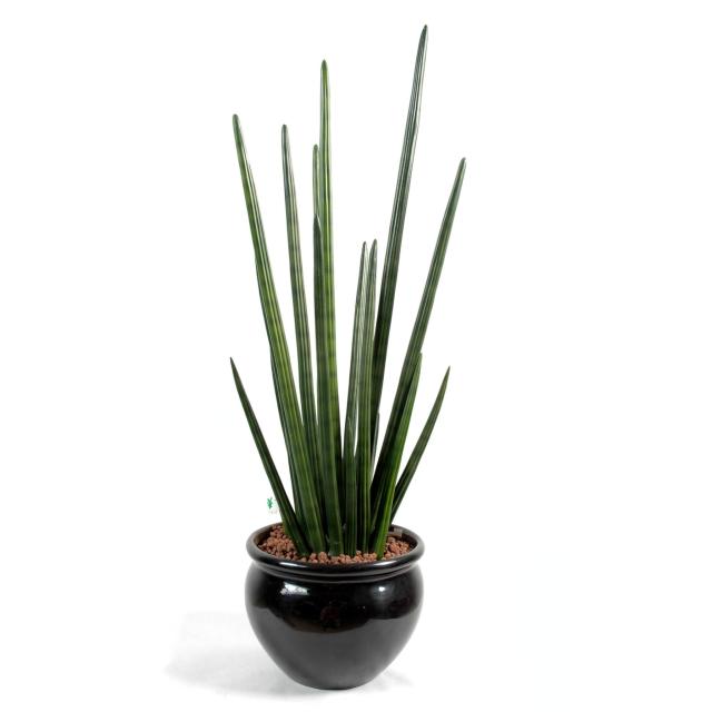 Sansevieria Cylindrica Artificielle - Sansevieria Artificiel Cylindrica