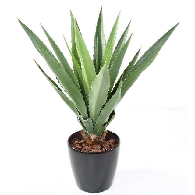 Agave Furcraea Artificielle - Agave Artificielle Furcraea