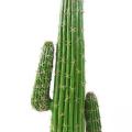 Cactus Artificiel Mexico NEW
