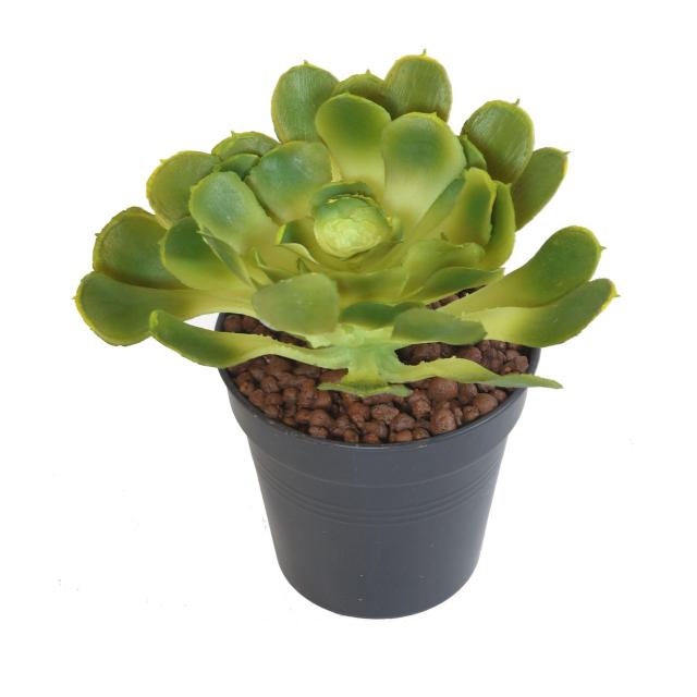 Aloe Soft Rond Artificiel - Aloe Artificielle Soft