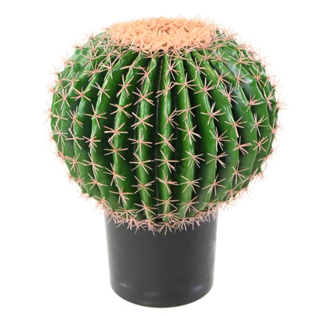 Cactus Artificiel Echino