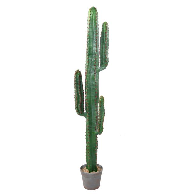 Cactus Mexico Artificiel - Cactus Artificiel Mexico 150