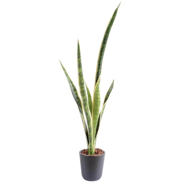 Sansevieria Artificielle Piquet Grandes Feuilles - Sansevieria Artificiel Piquet GM
