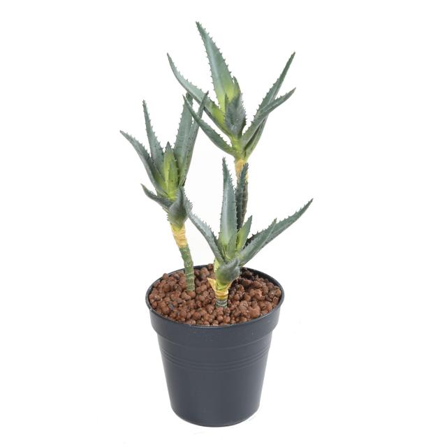 Aloe Artificiel 3 Têtes en Piquet - Aloe 35 Artificielle