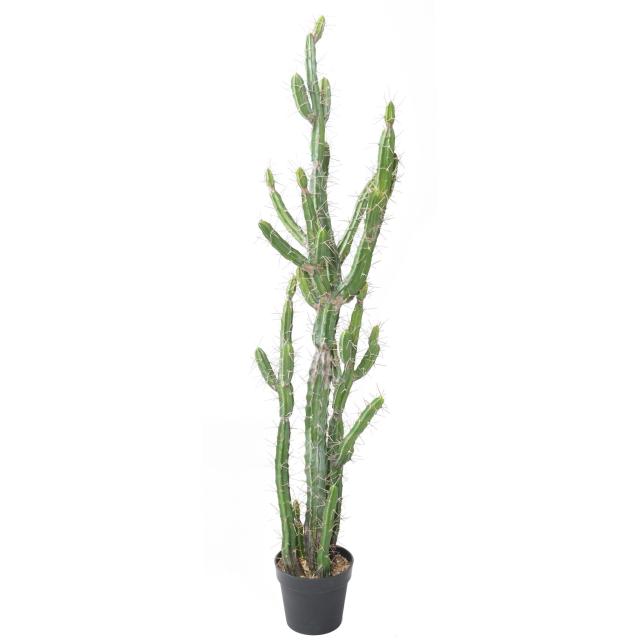 Cactus Artificiel Finger F