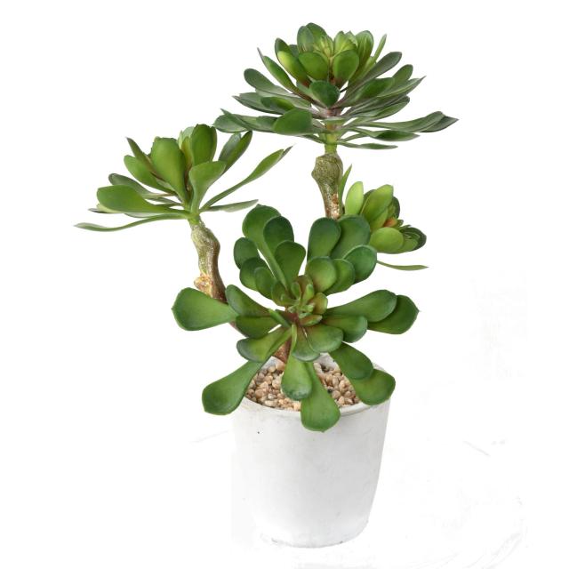 Succulente Artificielle 4 Têtes - Succulente Artificielle en Pot 30
