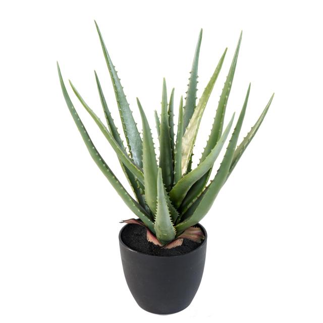 Aloe Vera Artificiel Pic - Aloe Artificielle 48