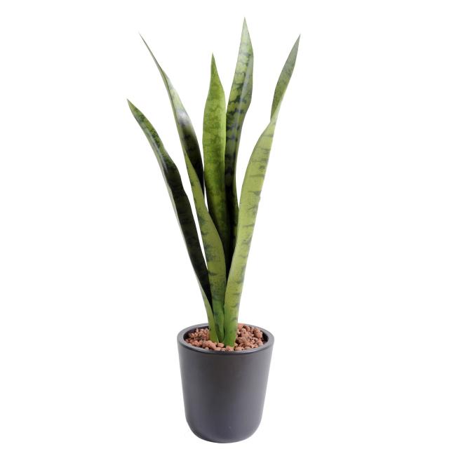Sansevieria Artificielle 5 Feuilles Piquet - Sansevieria Artificiel Piquet MM