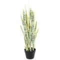 Sansevieria Artificiel 85