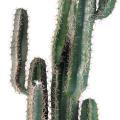 Cactus Artificiel Finger