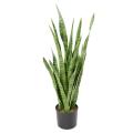 Sansevieria Artificiel 85